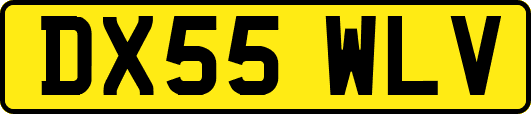 DX55WLV