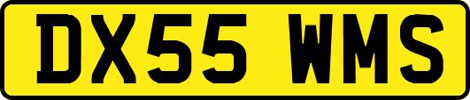 DX55WMS