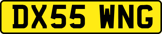 DX55WNG