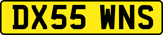 DX55WNS