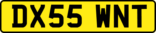 DX55WNT