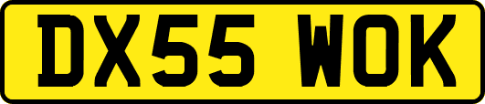 DX55WOK