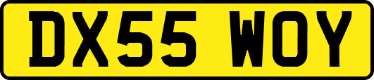 DX55WOY
