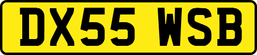 DX55WSB