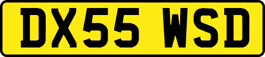 DX55WSD