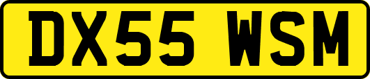 DX55WSM