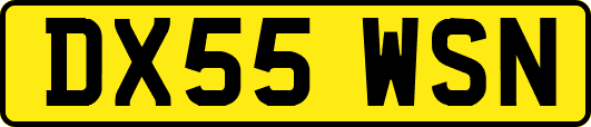 DX55WSN