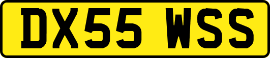 DX55WSS