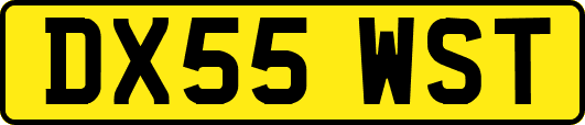 DX55WST