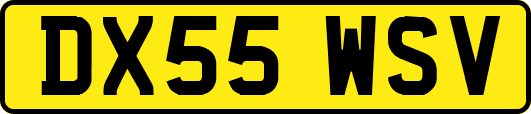 DX55WSV