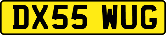 DX55WUG