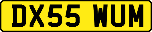 DX55WUM