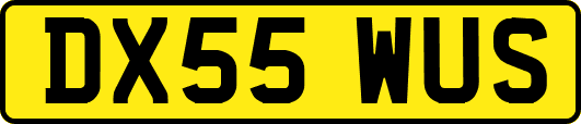 DX55WUS