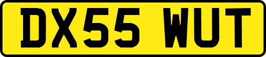 DX55WUT