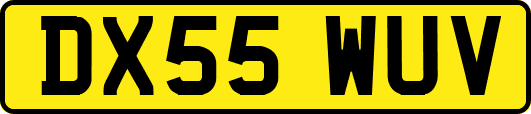 DX55WUV