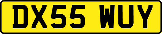 DX55WUY