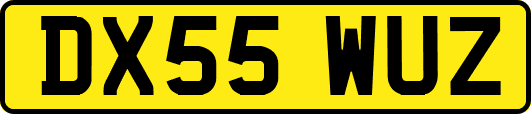 DX55WUZ