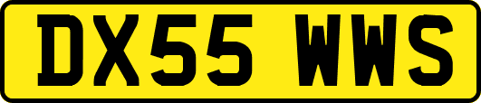 DX55WWS