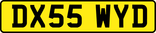 DX55WYD