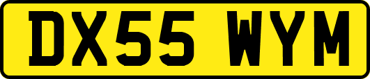 DX55WYM