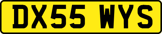 DX55WYS