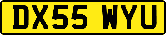 DX55WYU
