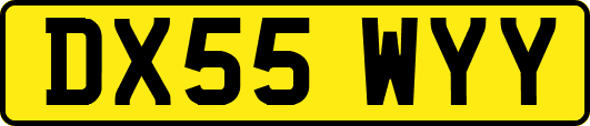 DX55WYY