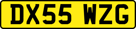DX55WZG
