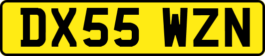 DX55WZN