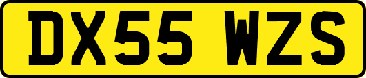 DX55WZS
