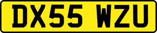 DX55WZU