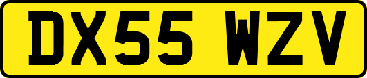 DX55WZV