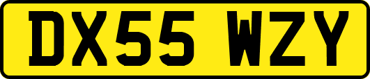DX55WZY