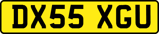 DX55XGU