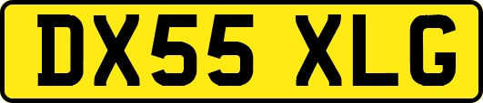 DX55XLG