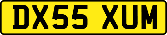 DX55XUM