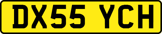 DX55YCH