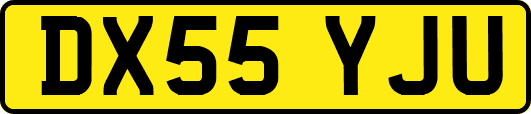 DX55YJU