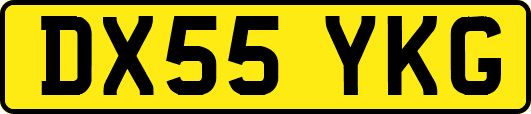DX55YKG