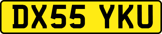 DX55YKU