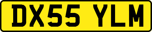 DX55YLM
