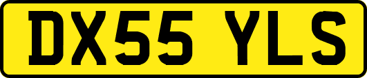 DX55YLS