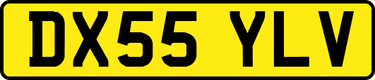 DX55YLV