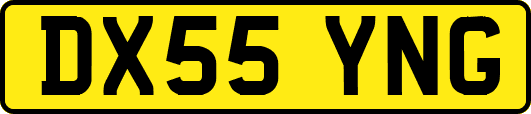 DX55YNG
