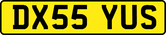 DX55YUS
