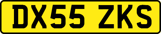 DX55ZKS