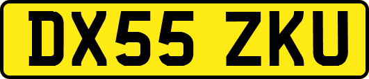 DX55ZKU