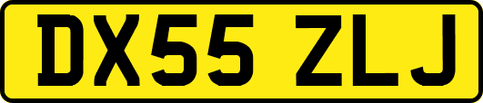 DX55ZLJ