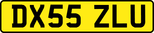 DX55ZLU