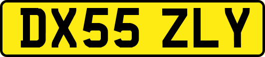 DX55ZLY